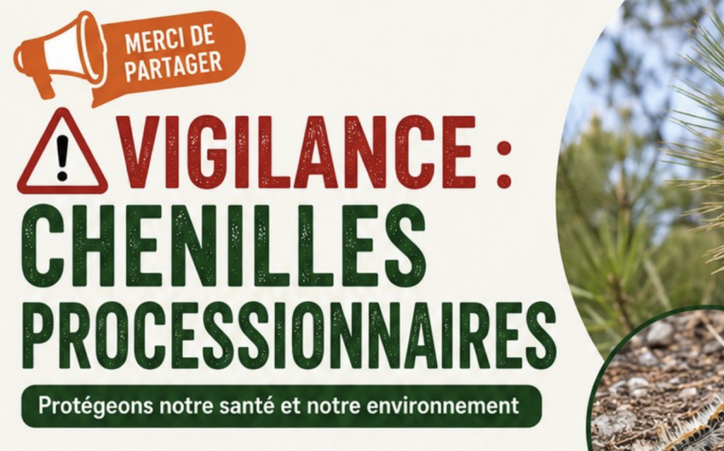 Chenilles processionnaires à Autrêches - Restons vigilants